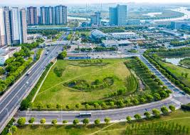 今年会jinnianhui 南平城市绿化灌木品种